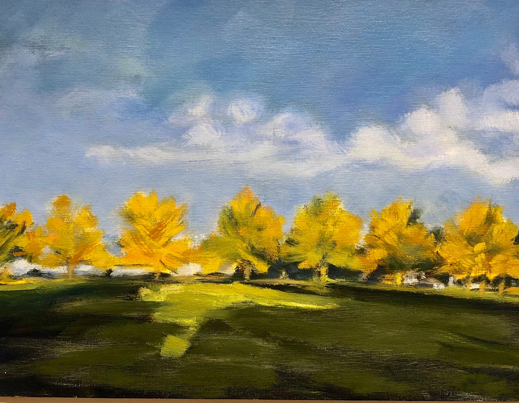 Black Ash Trees, Hansen Idaho #2, 9