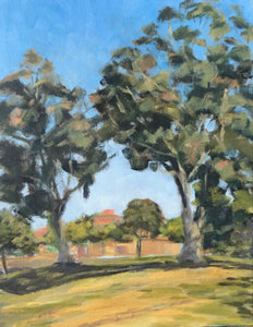 Eucalyptus trees in Balboa Park, 11"x 14"