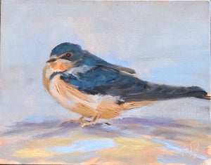 Barn Swallow study #2, 8"x10"