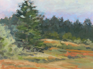 Meadow on Humboldt Hill, 9"x12'