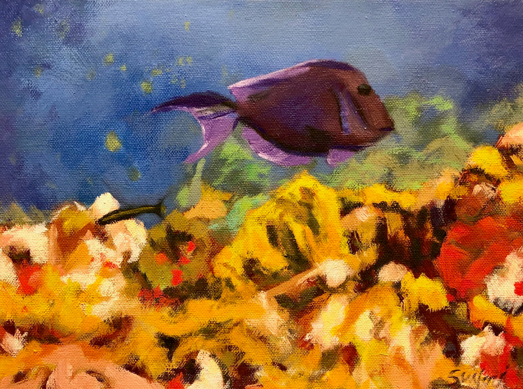 Purple fish on Coral Reef, 9